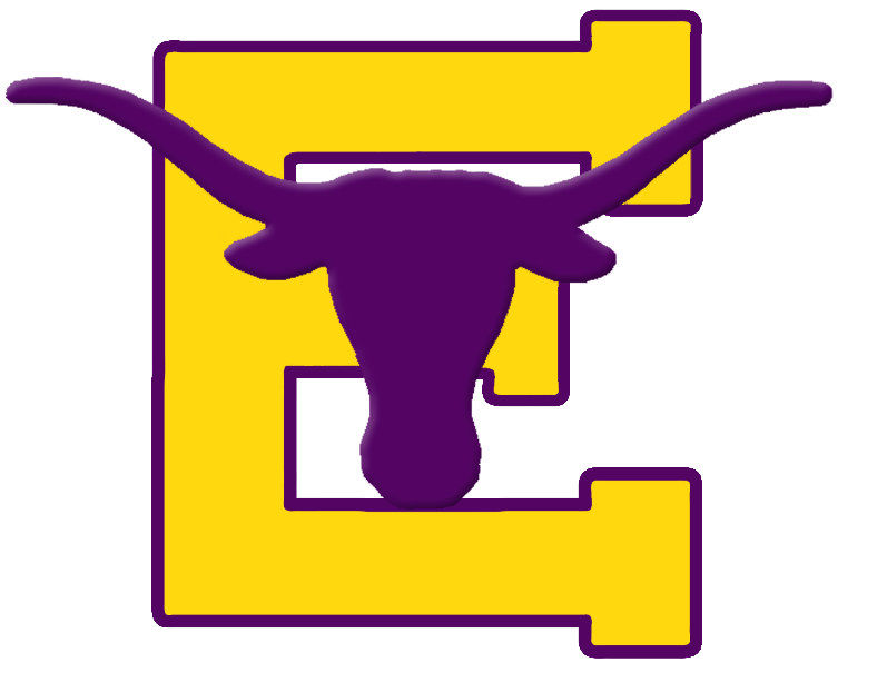 District Logo